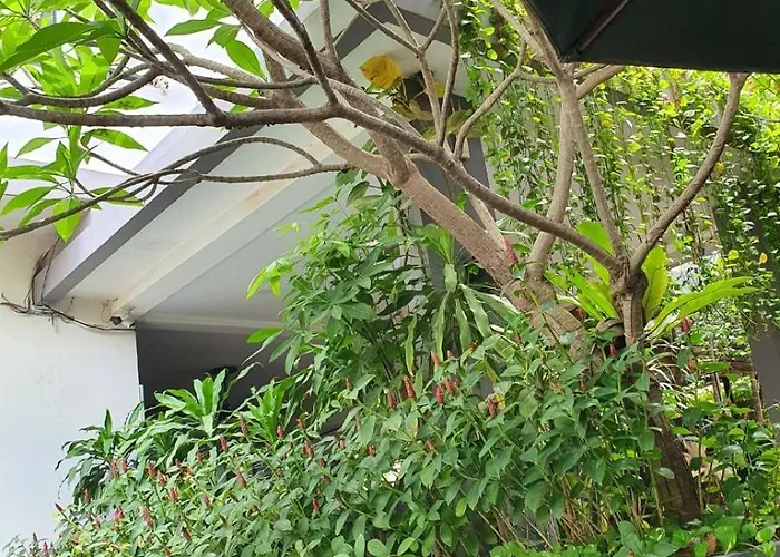 Nocleg ze śniadaniem Tevi Siem Reap