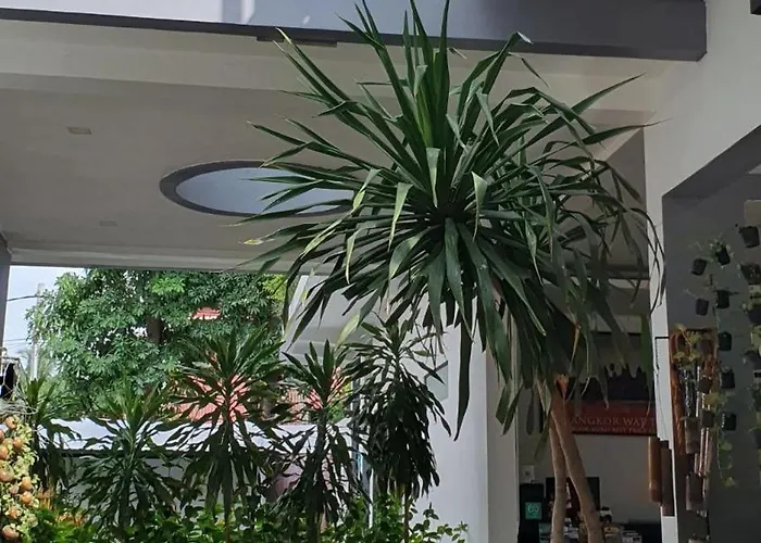 Nocleg ze śniadaniem Tevi Siem Reap